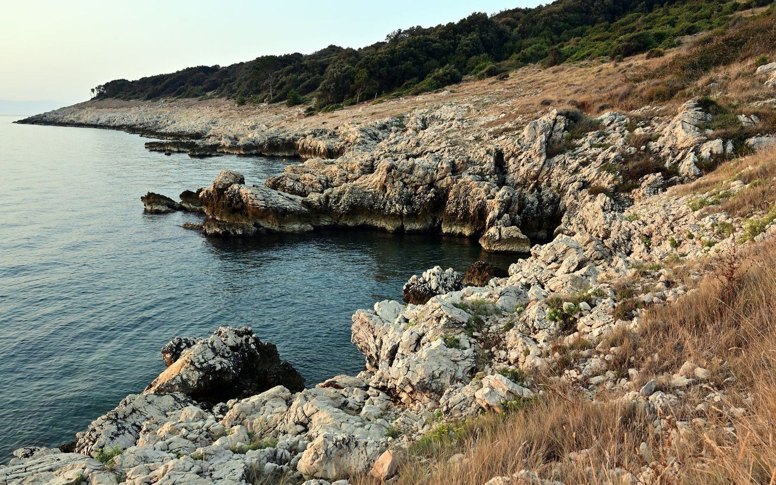 A low rocky shoreline running out to a headland in flat evening light